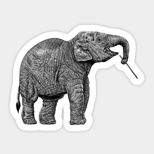 Baby Asian elephant Sticker